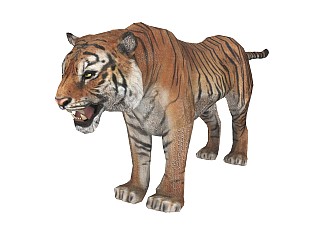 精品动物模型 老虎 (3)